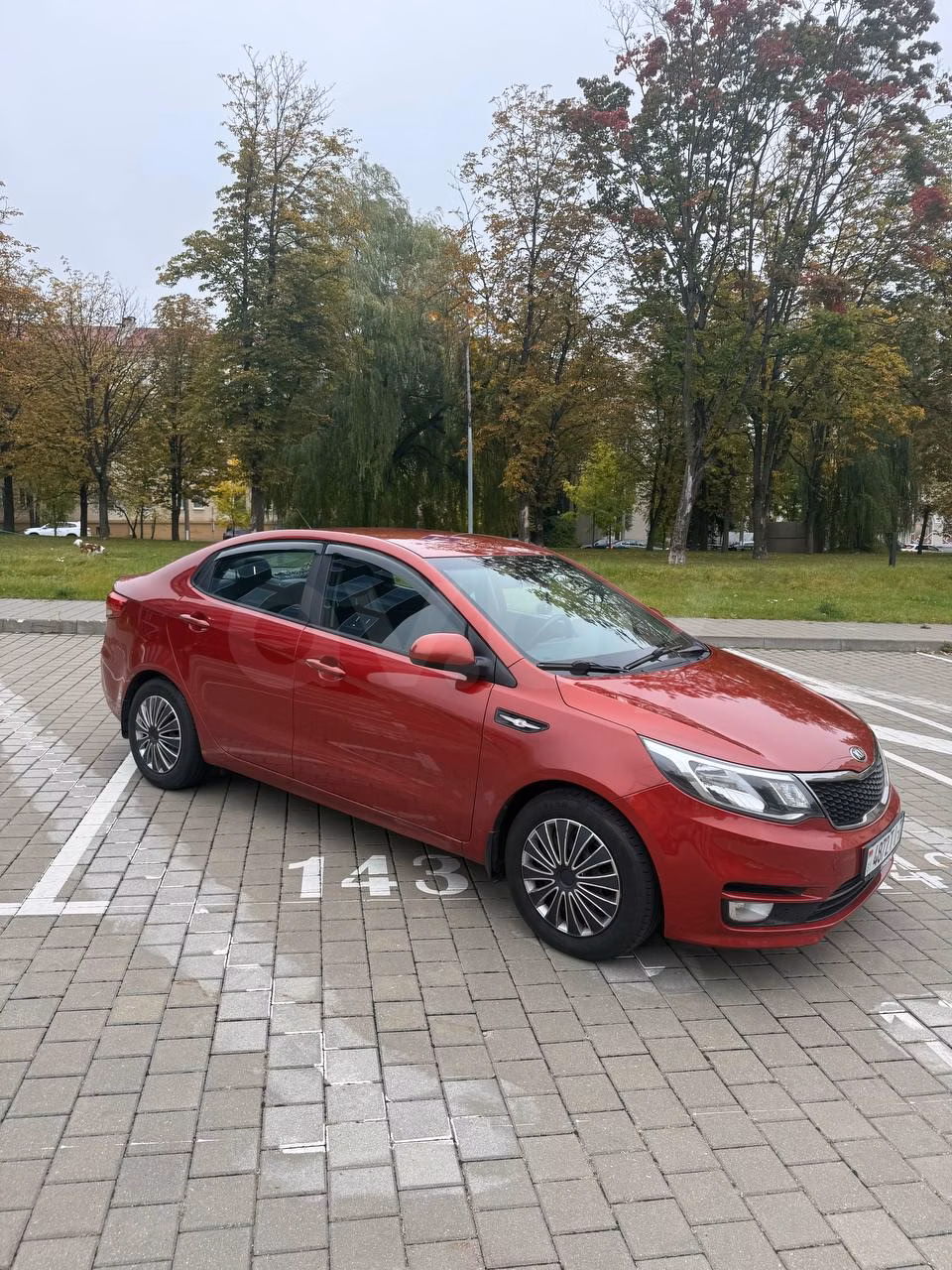 Kia Rio
