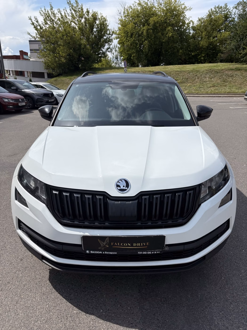 Skoda Kodiaq фото 2