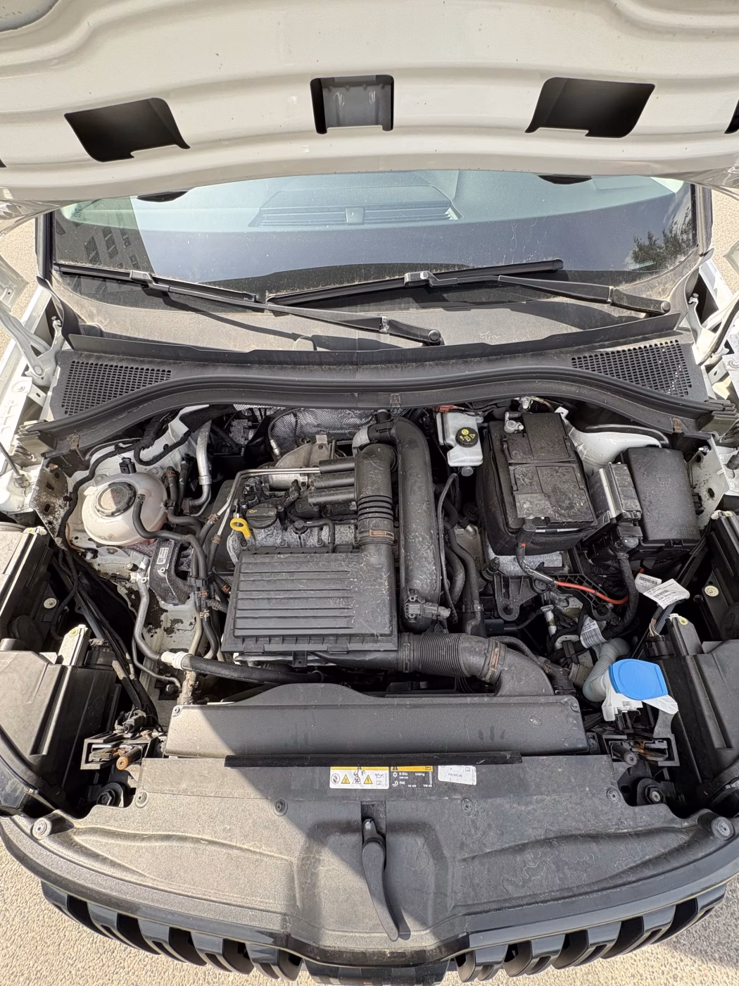 Skoda Kodiaq фото 19