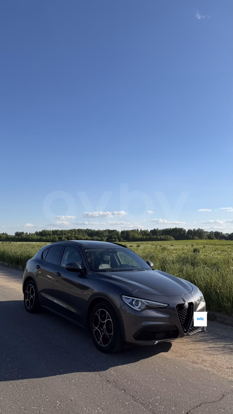 Alfa Romeo Stelvio фото 2