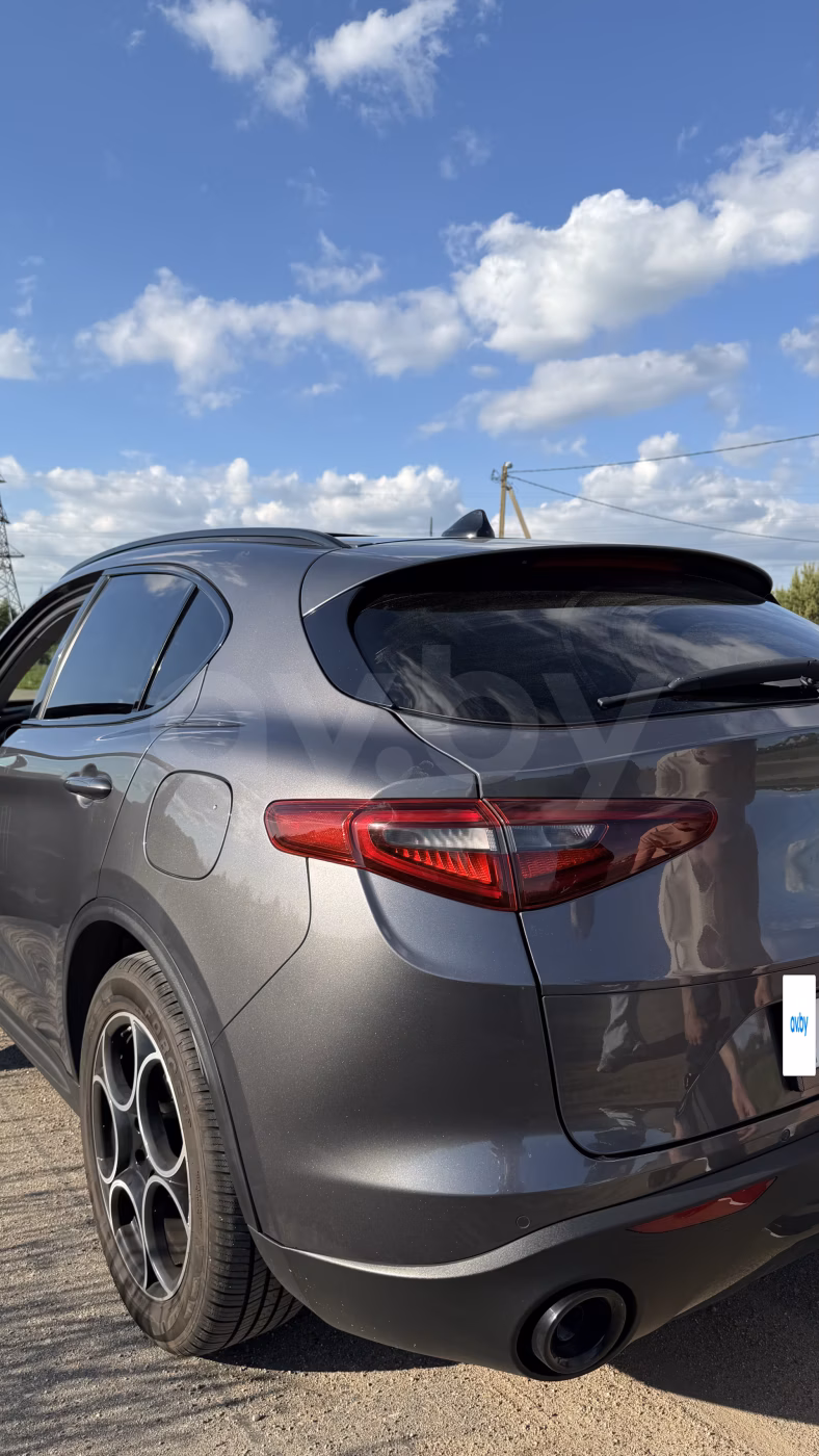 Alfa Romeo Stelvio фото 4