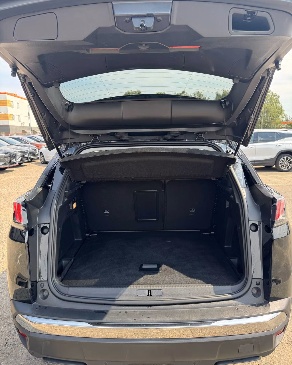 Peugeot 3008 фото 12