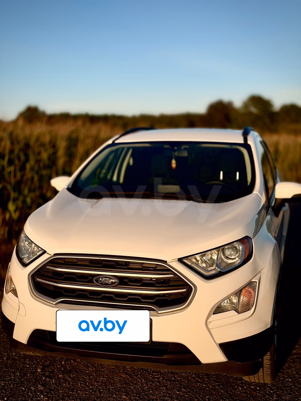 Ford EcoSport фото 5