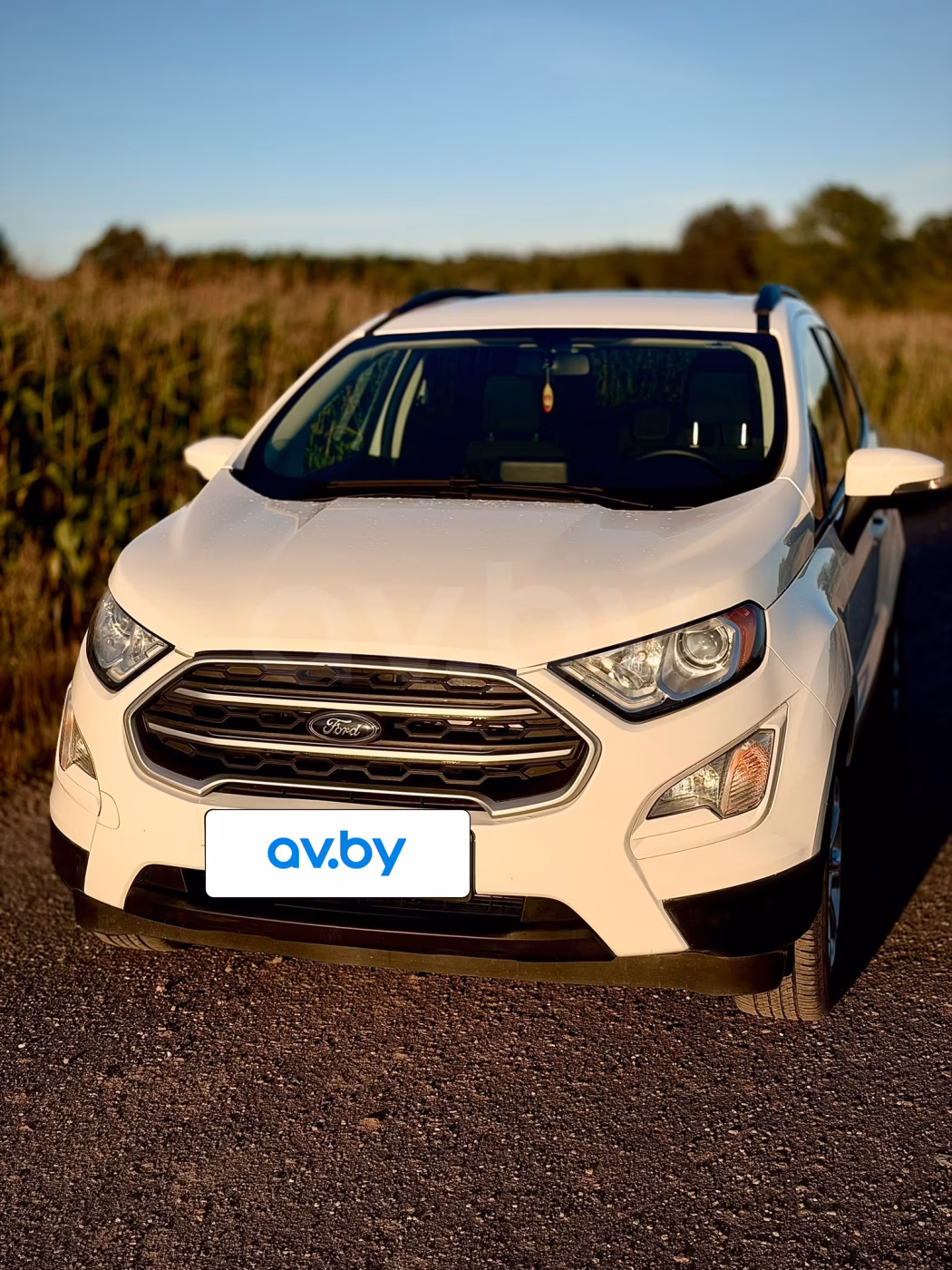 Ford EcoSport фото 13