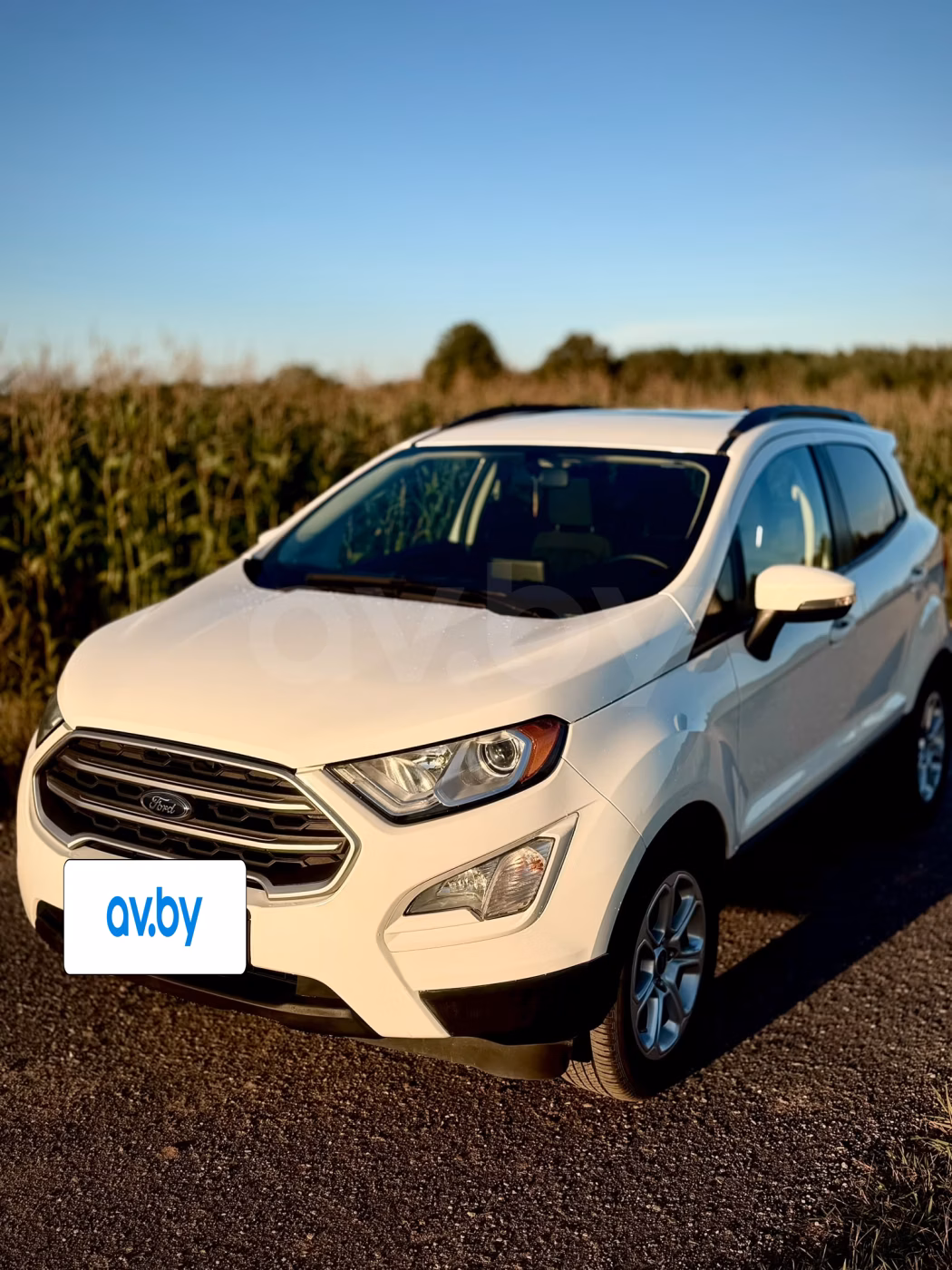 Ford EcoSport фото 15
