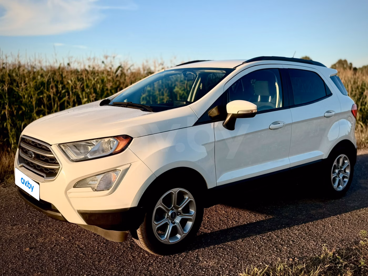 Ford EcoSport фото 19