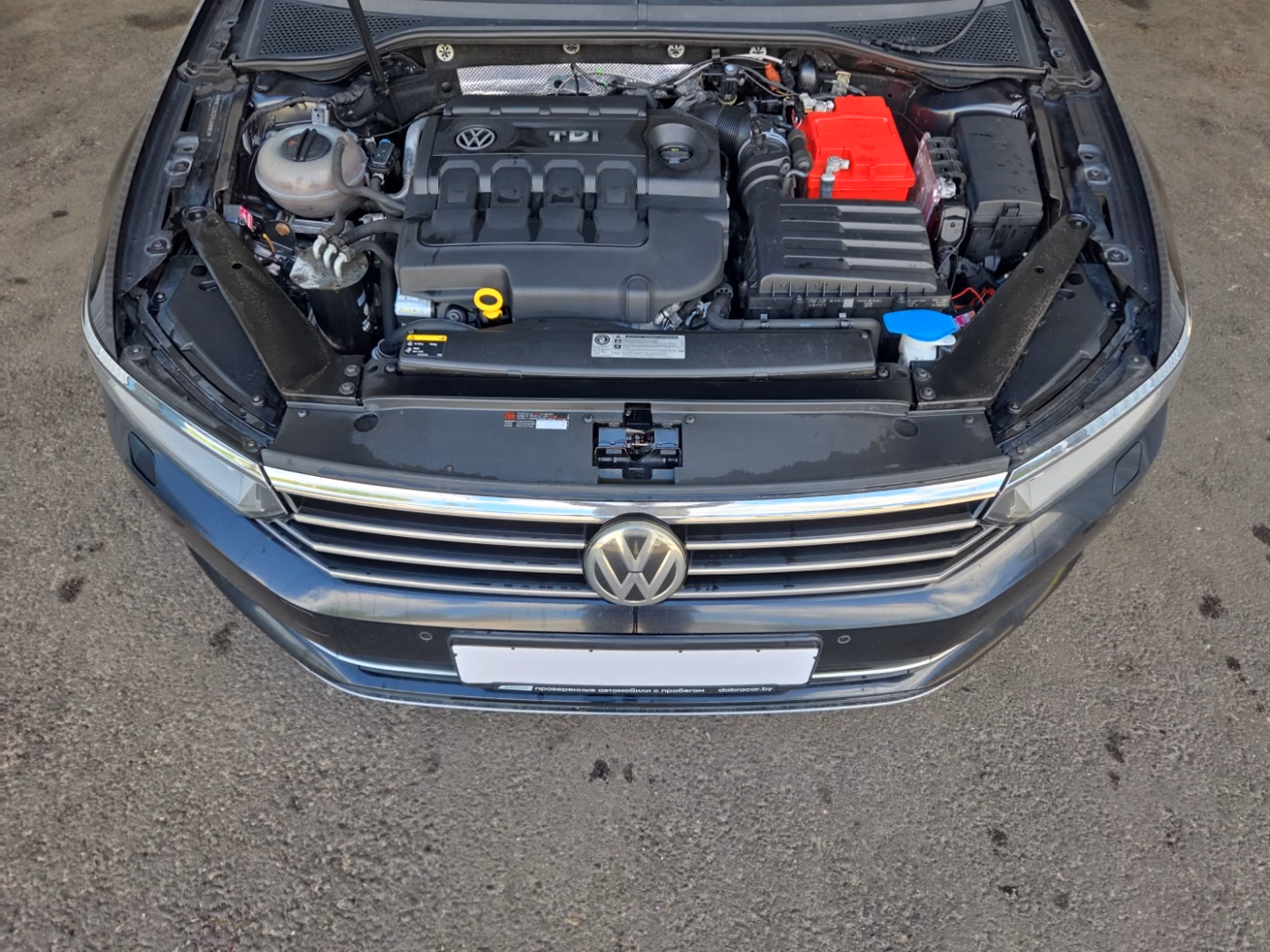 Volkswagen Passat фото 18