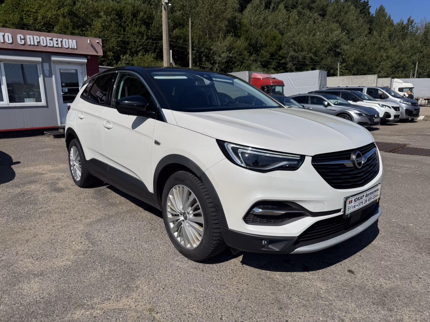 Opel Grandland X фото 3