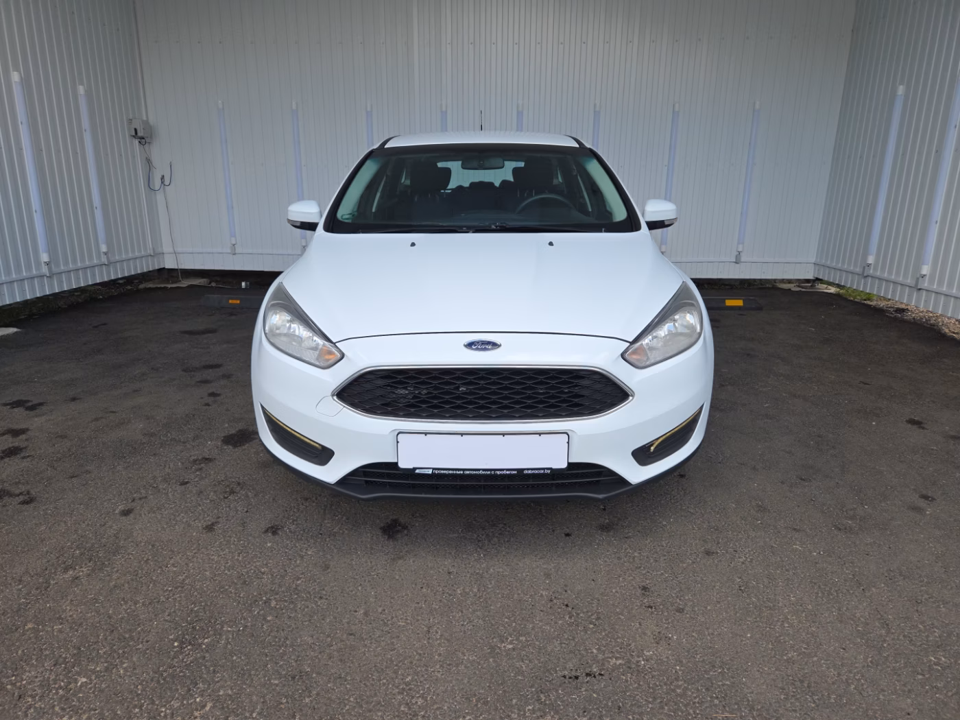 Ford Focus фото 2