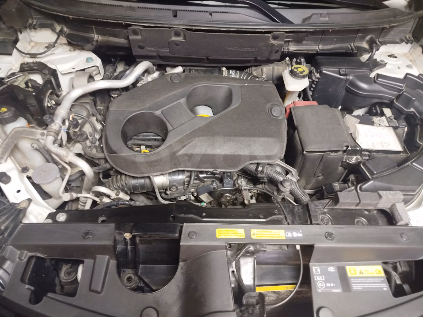 Renault Koleos фото 2