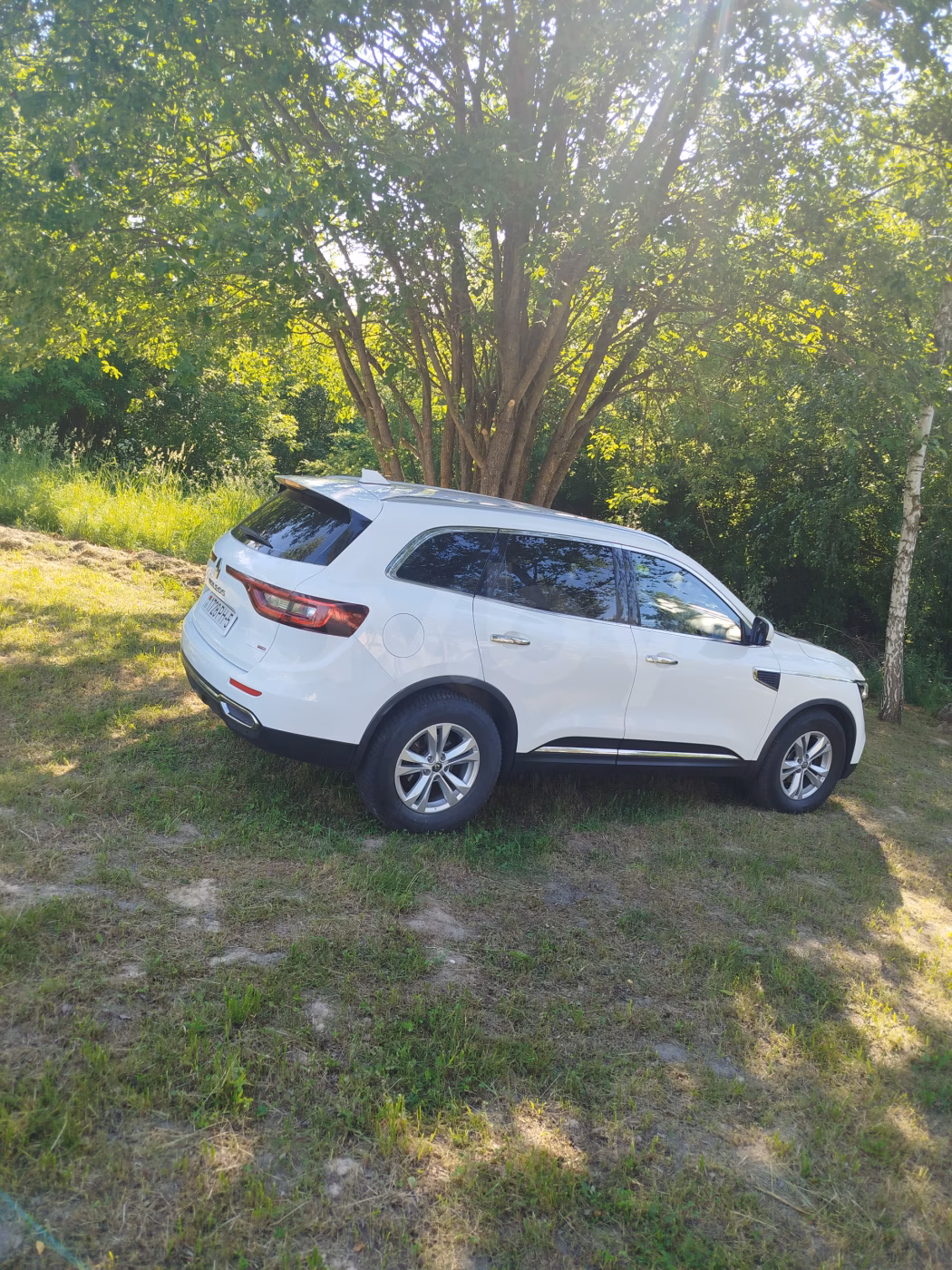 Renault Koleos фото 3
