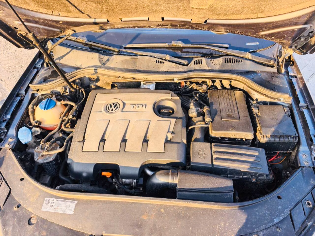 Volkswagen Passat фото 19