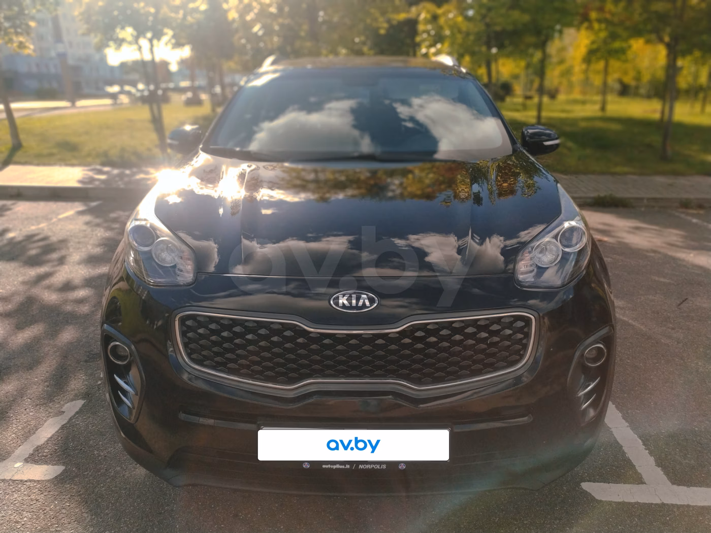Kia Sportage фото 6