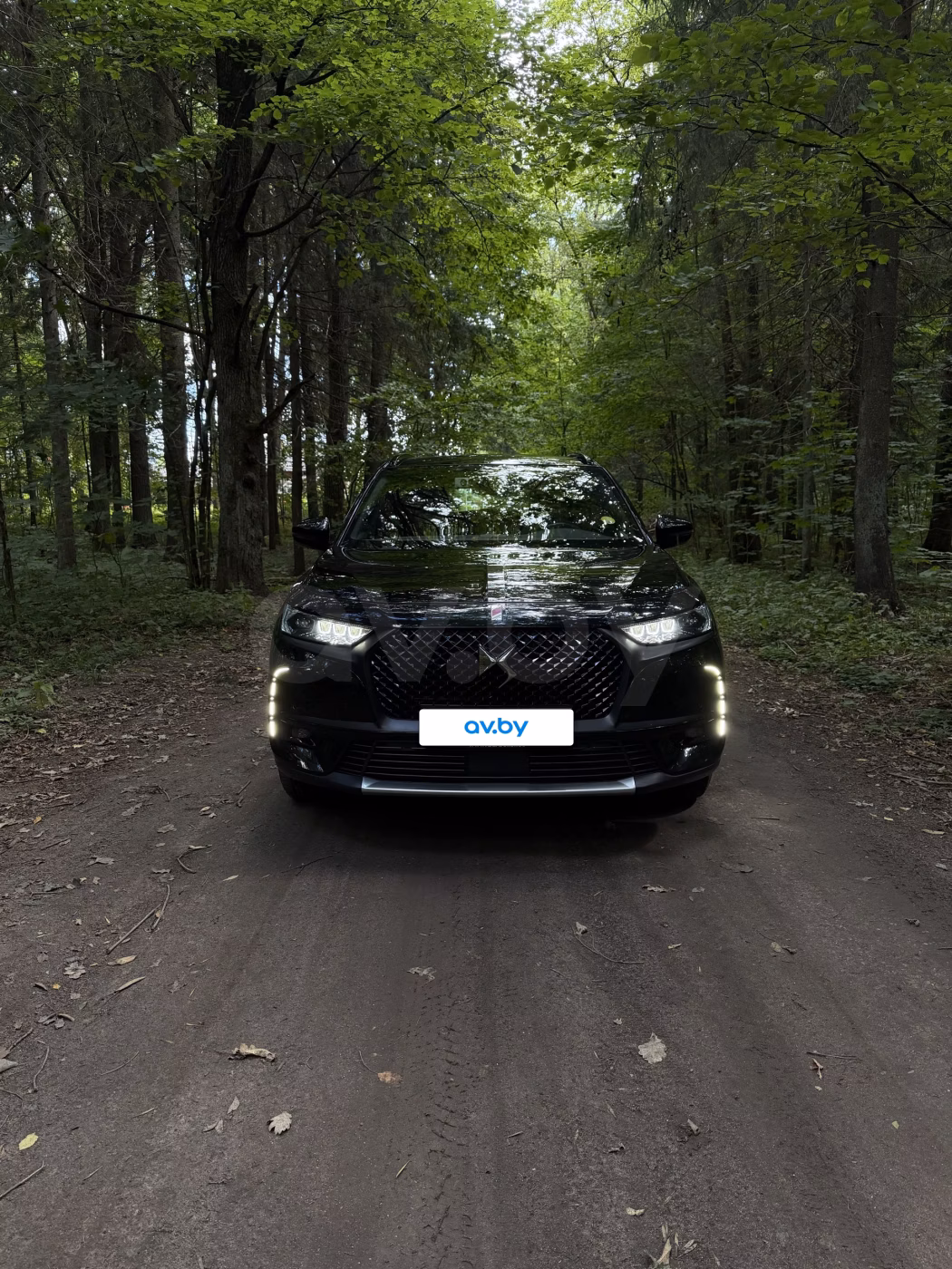 DS 7 Crossback фото 2