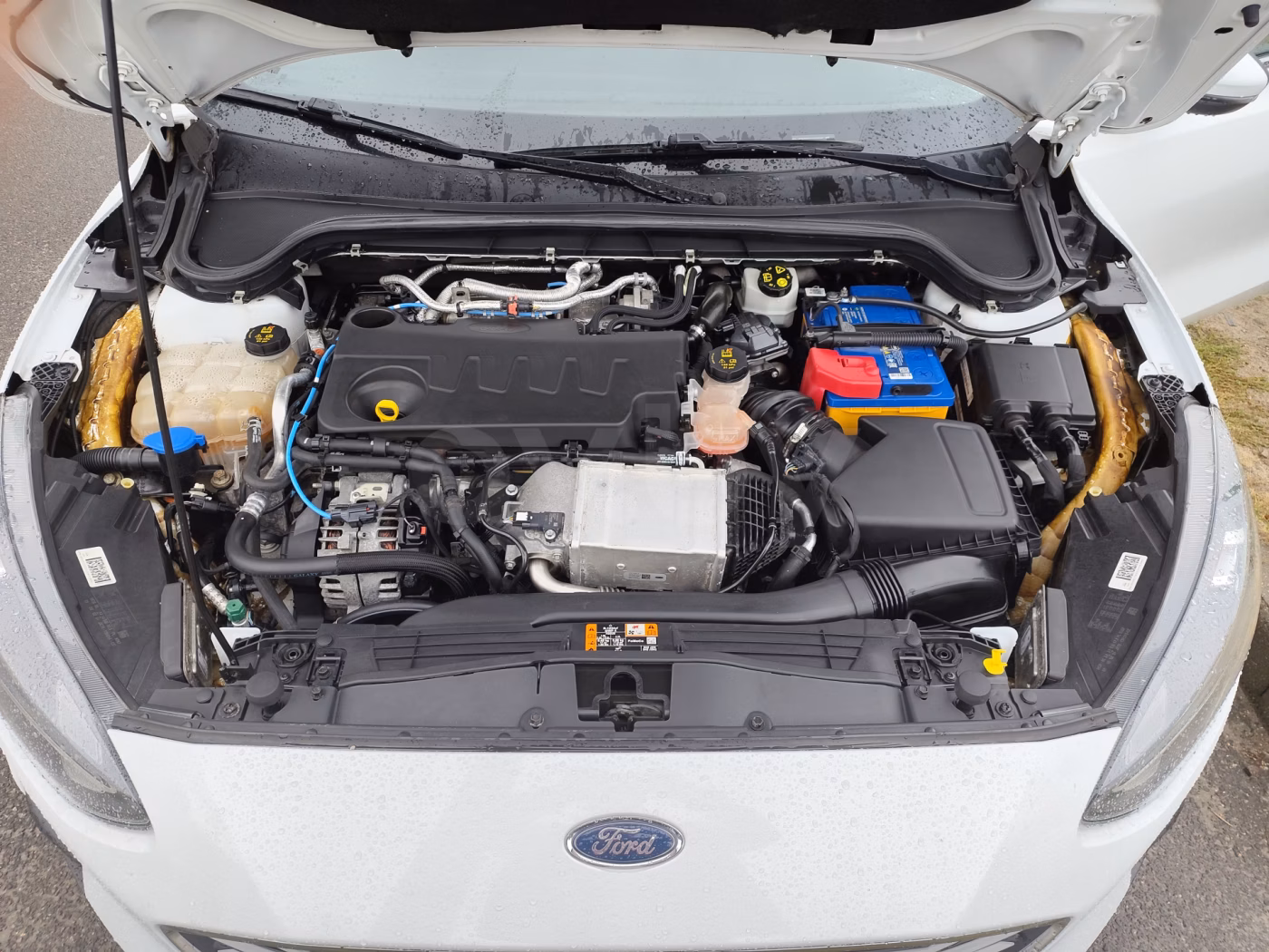 Ford Focus фото 5
