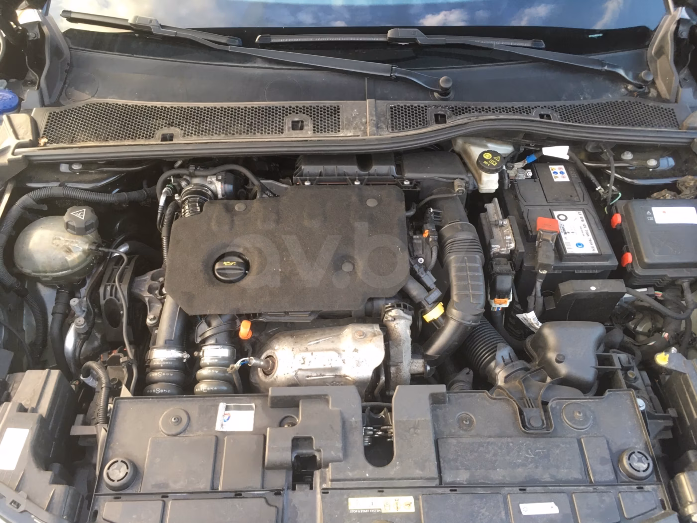 Citroen C4 фото 12