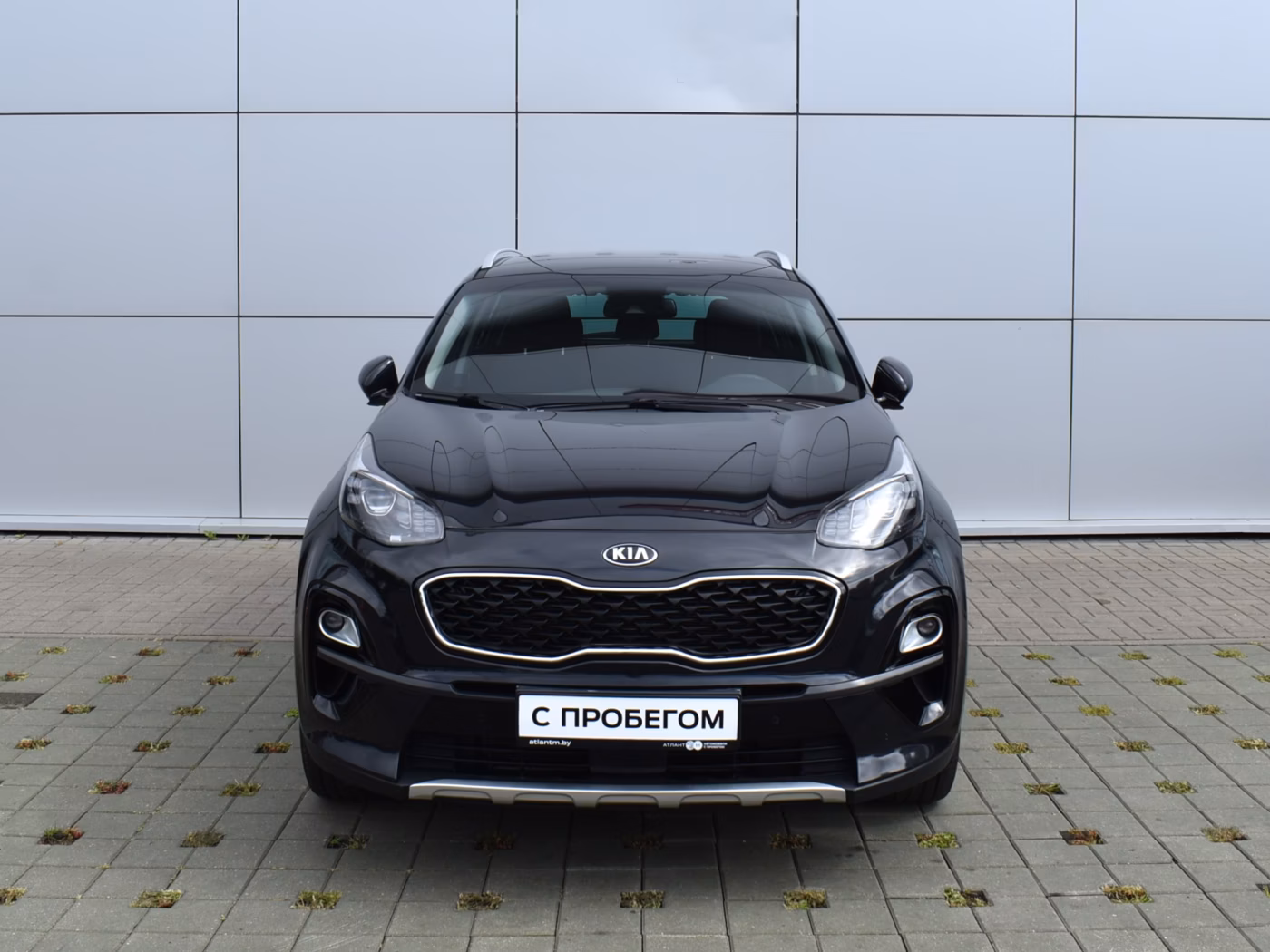 Kia Sportage фото 2