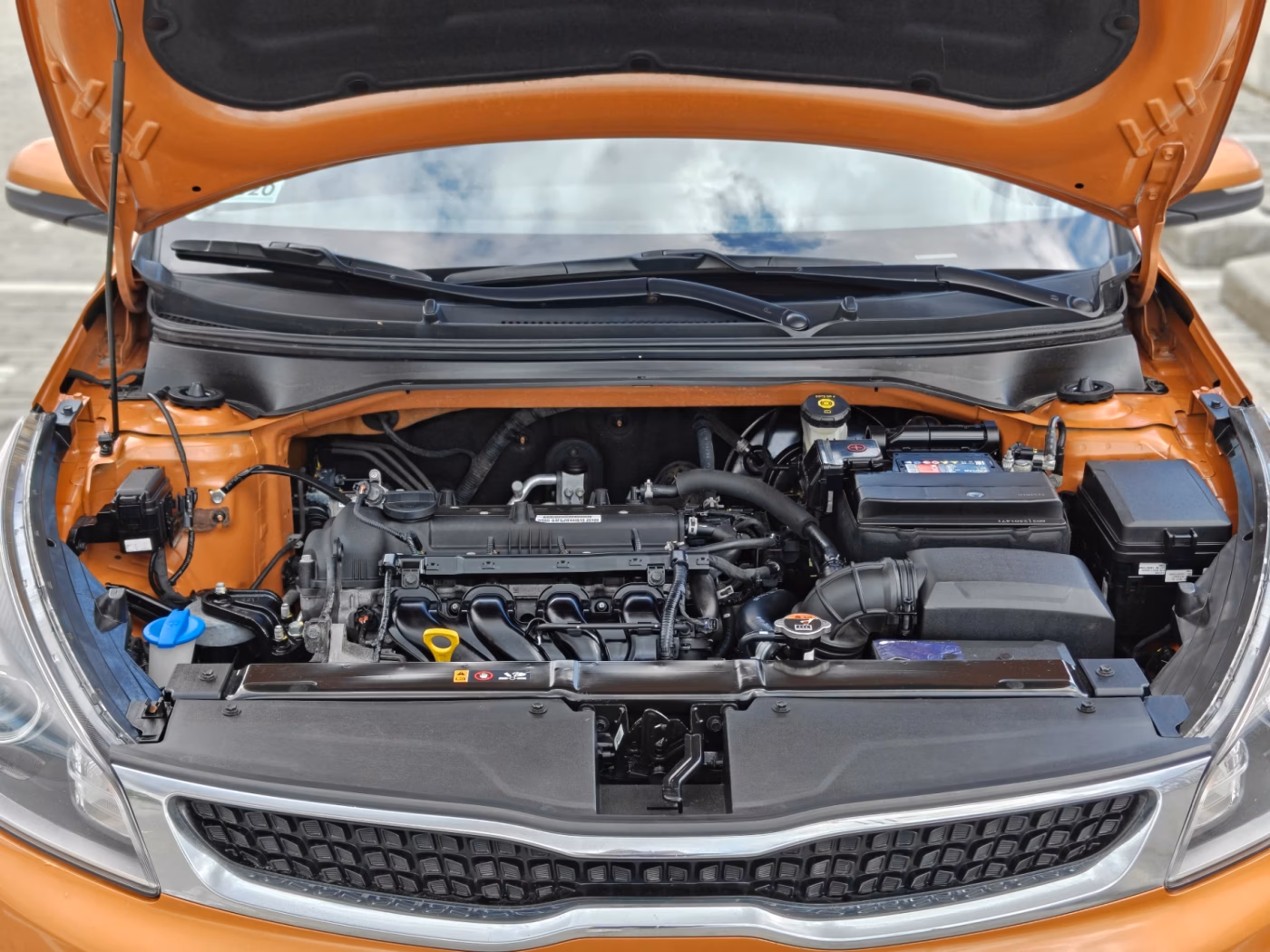 Kia Rio X (X-Line) фото 6
