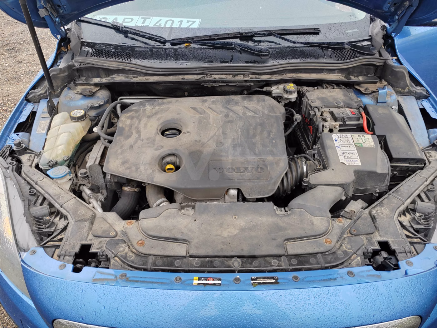 Volvo V40 Cross Country фото 16