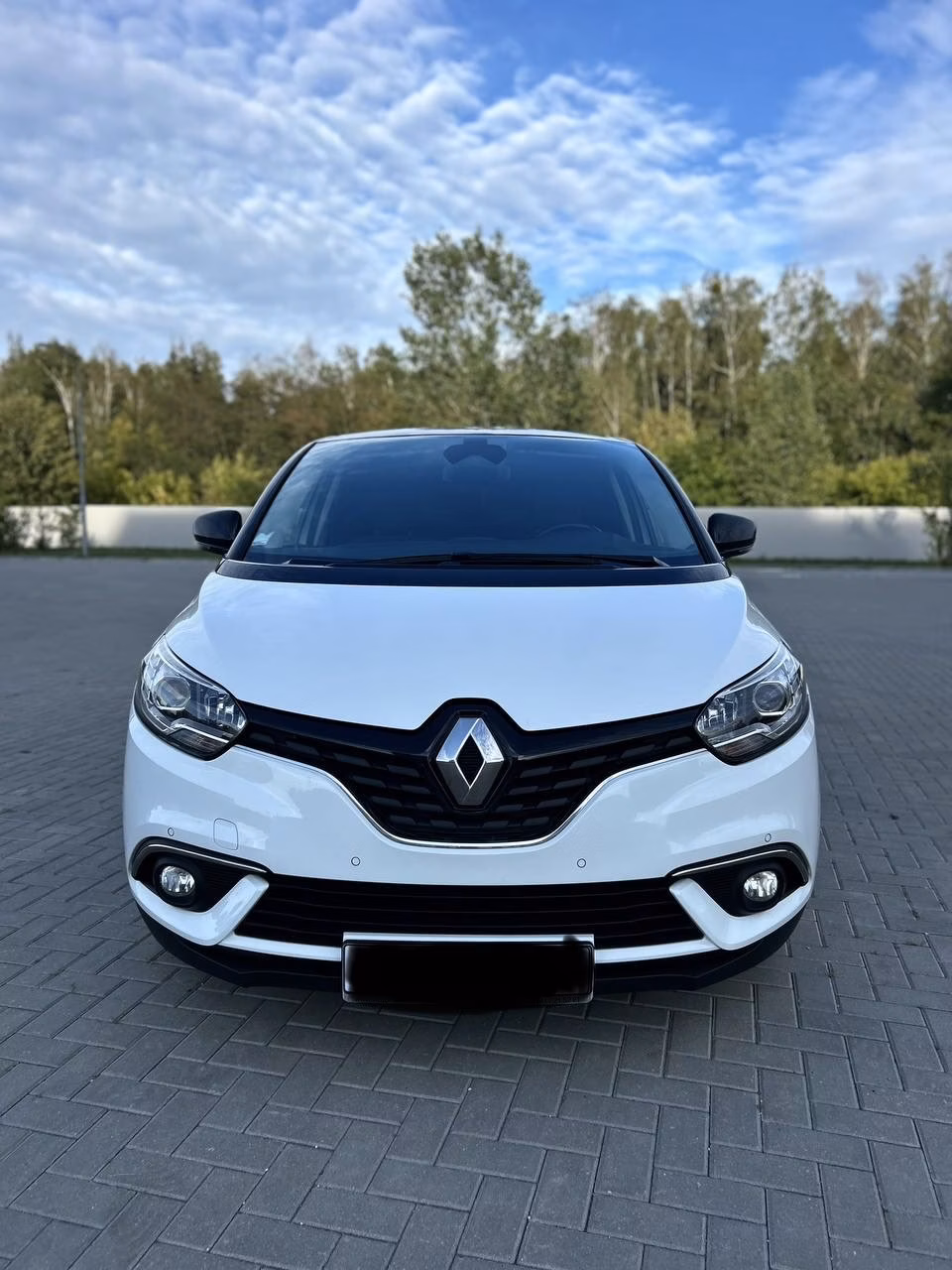 Renault Grand Scenic фото 5