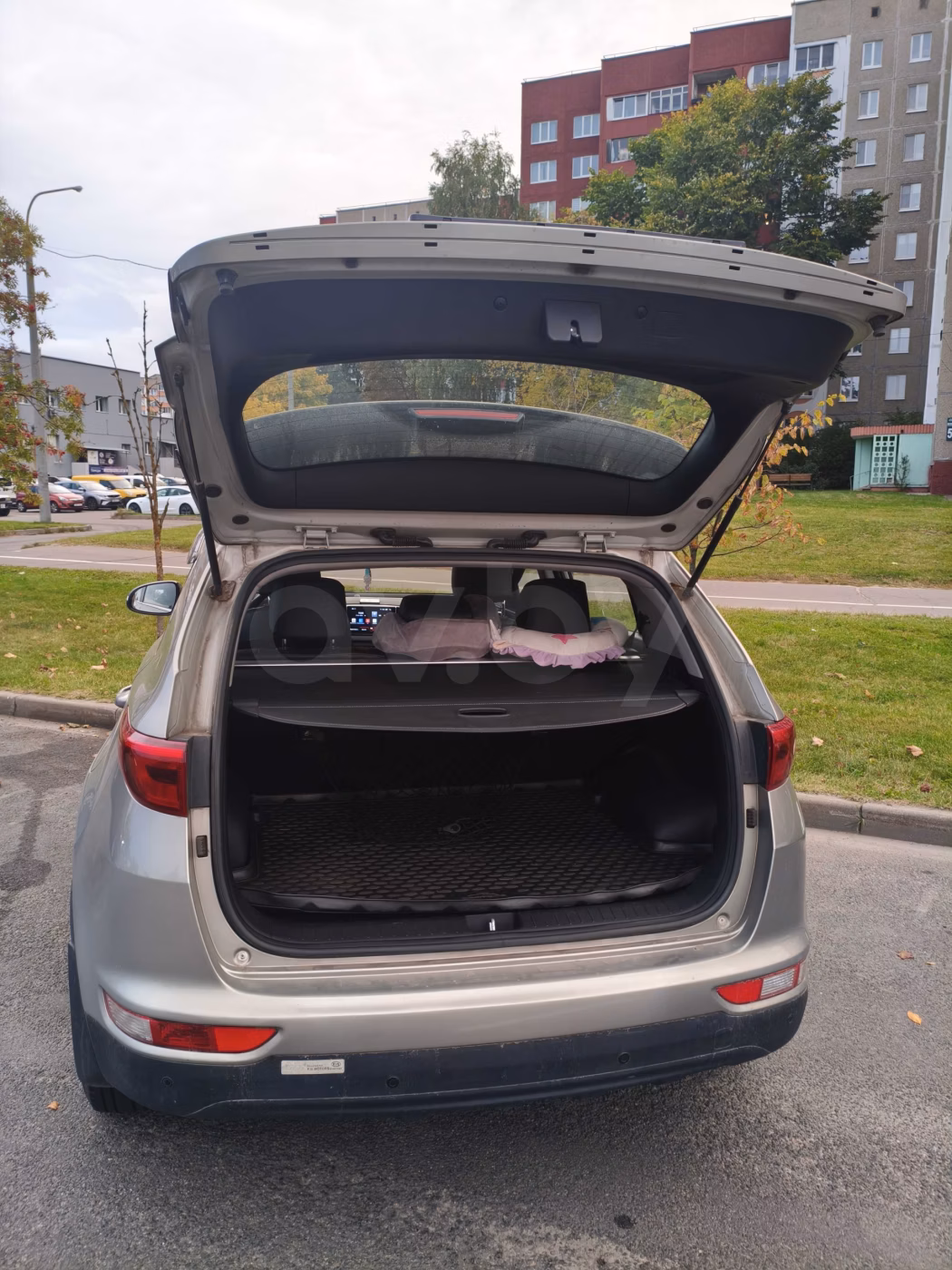 Kia Sportage фото 6