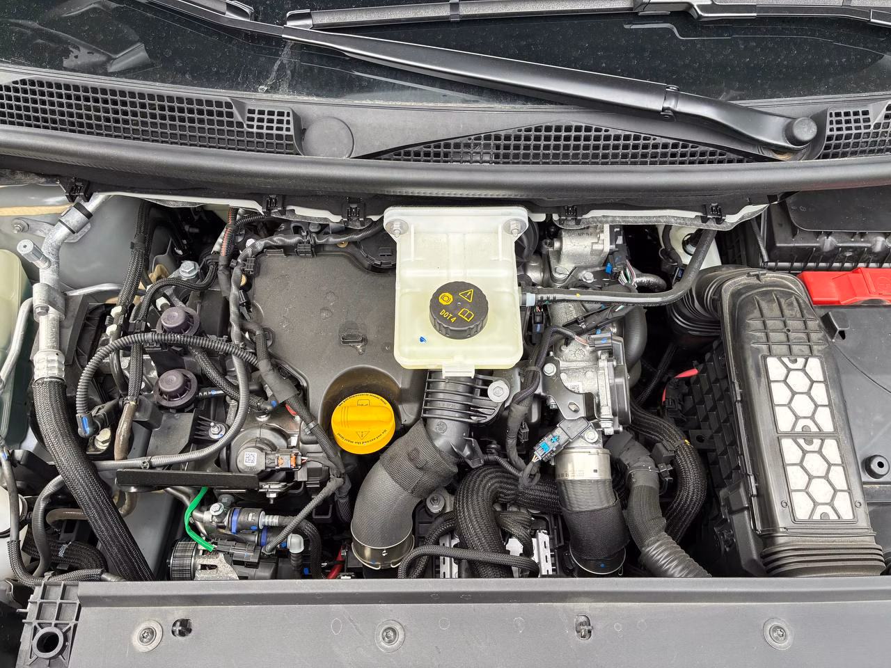 Renault Kangoo фото 14