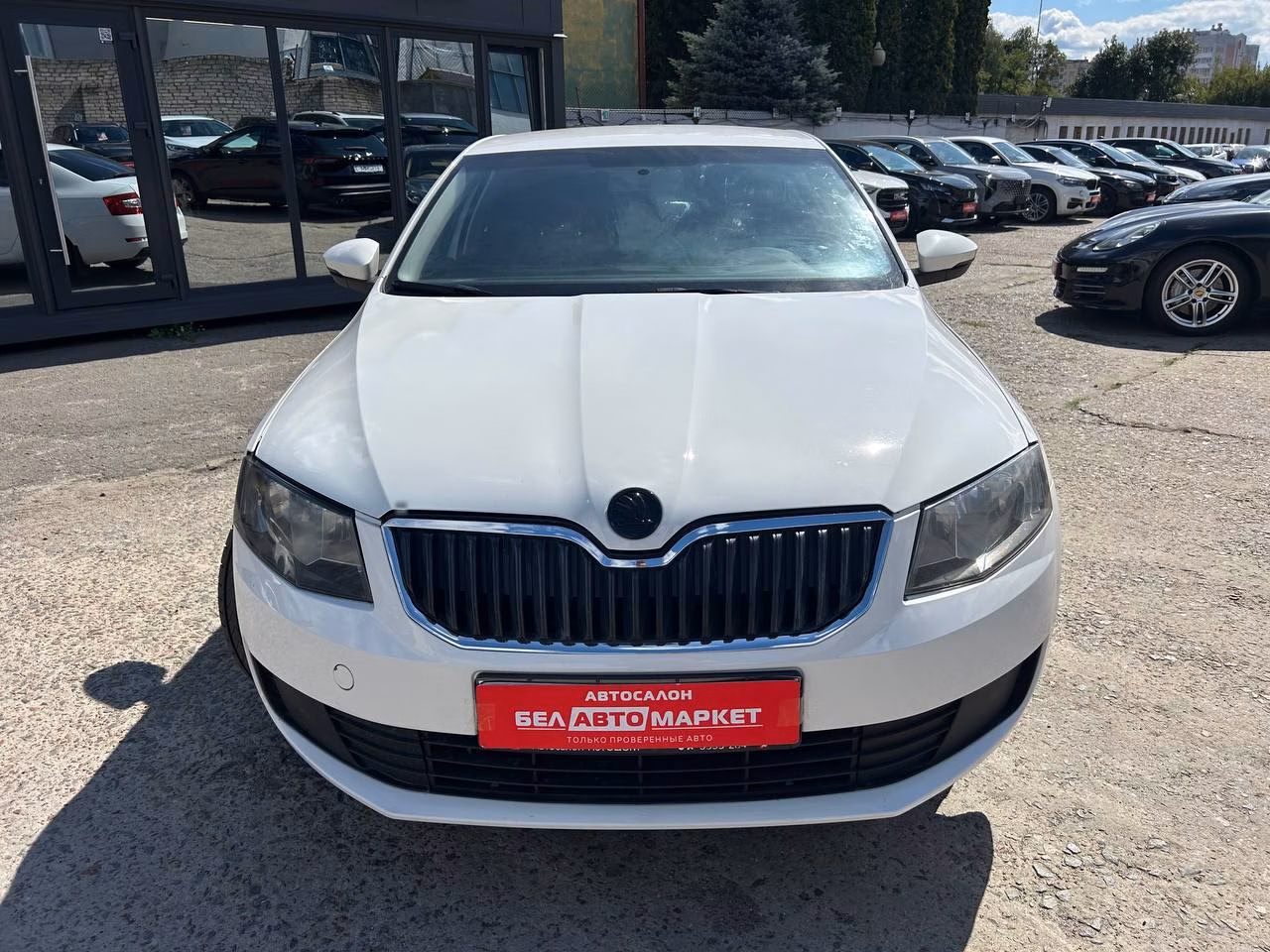 Skoda Octavia фото 2