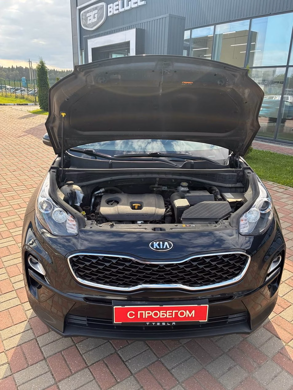 Kia Sportage фото 9