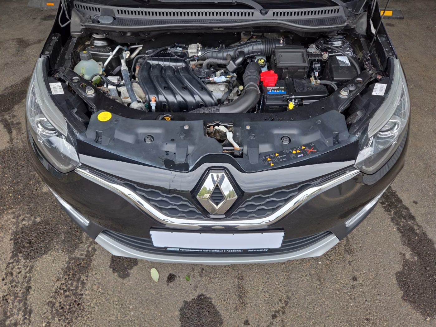 Renault Kaptur фото 18