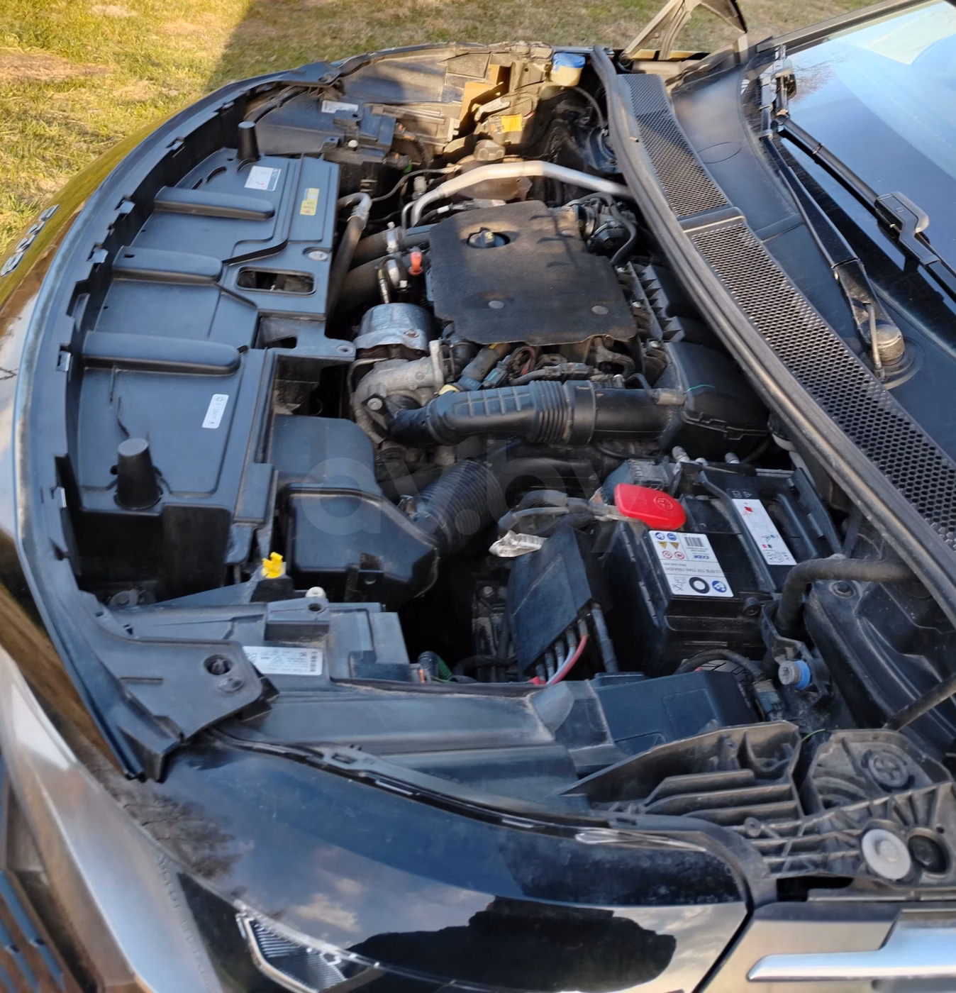 Peugeot 5008 фото 11