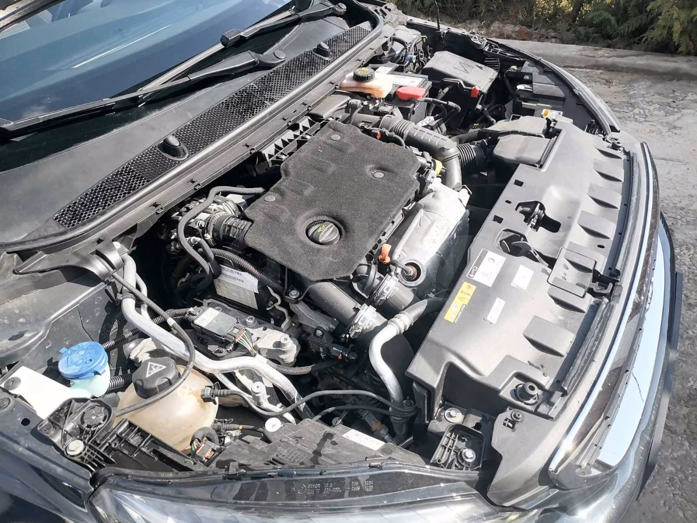 Peugeot 308 фото 12