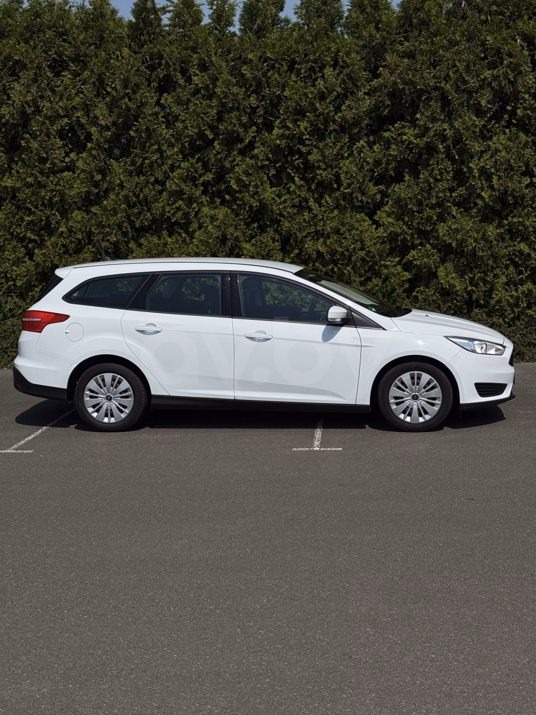 Ford Focus фото 5