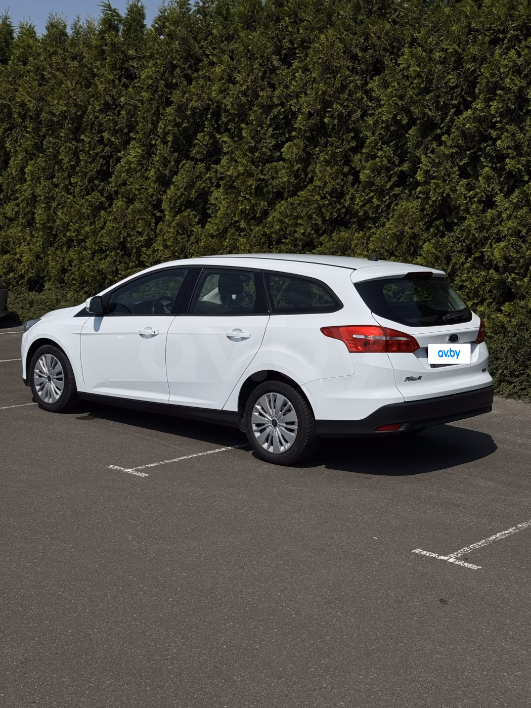 Ford Focus фото 8