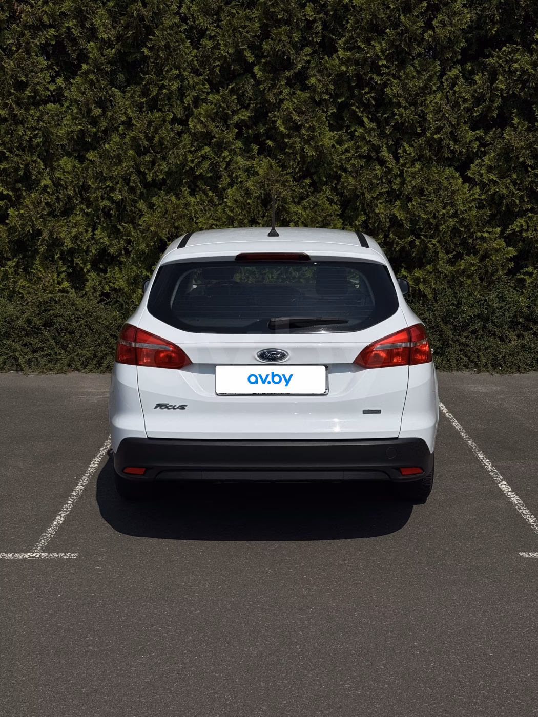 Ford Focus фото 10