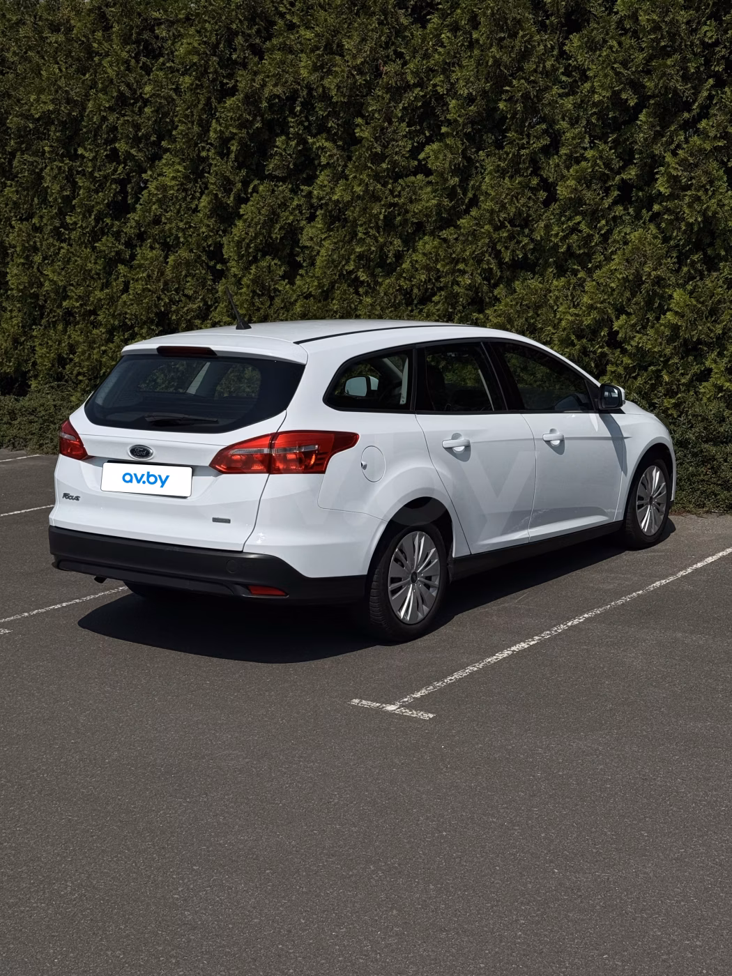 Ford Focus фото 12