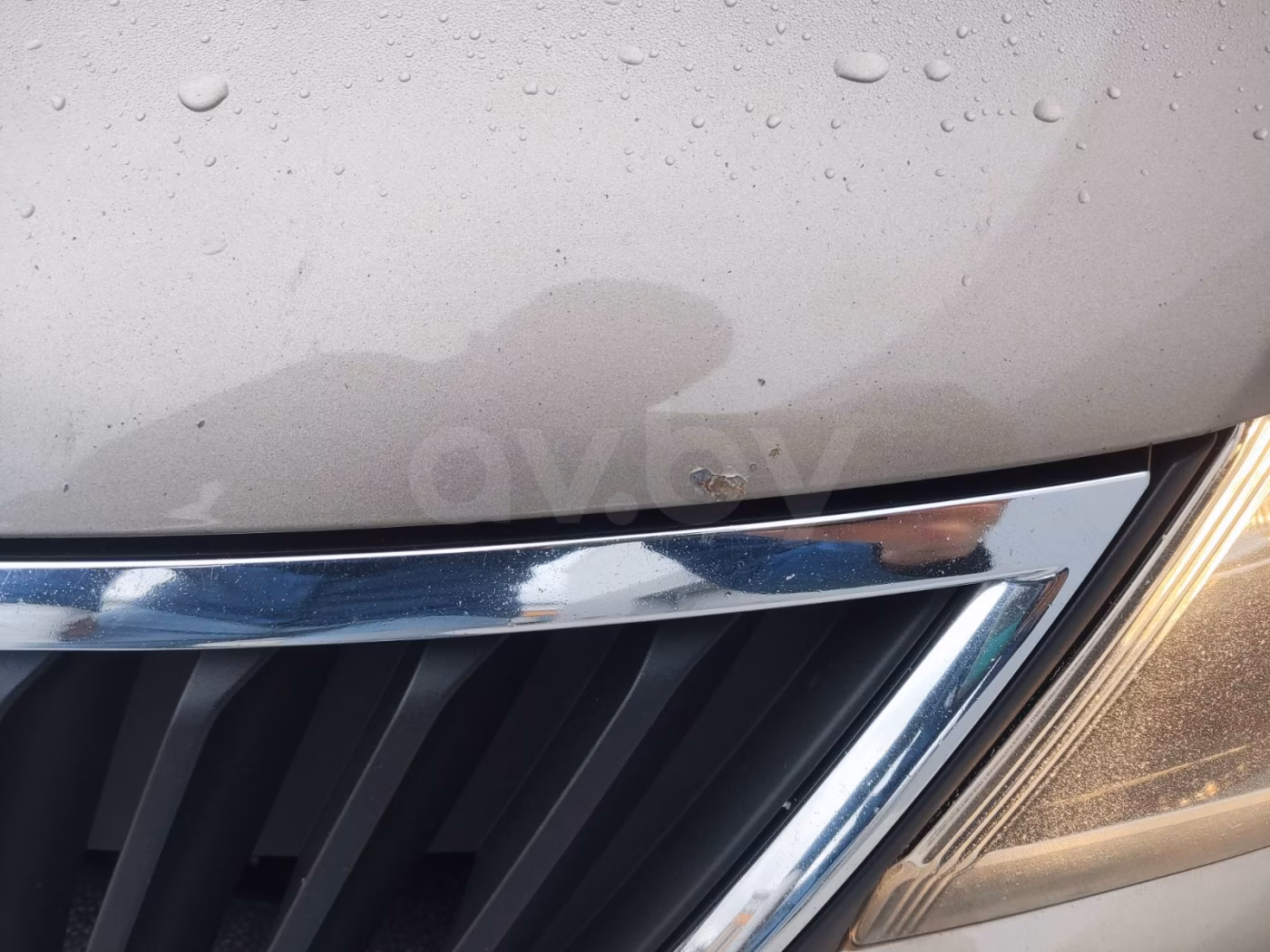 Skoda Rapid фото 7