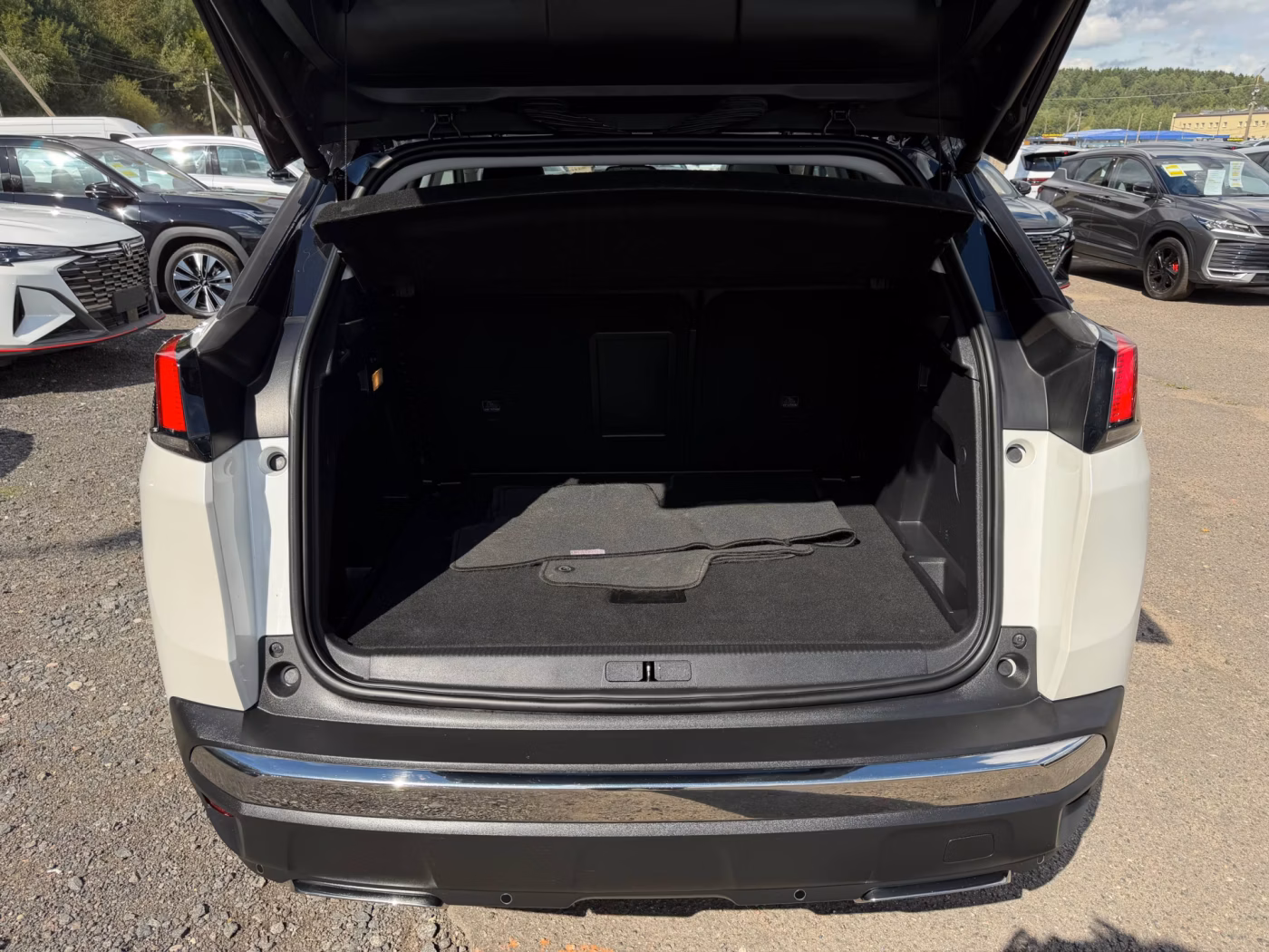 Peugeot 3008 фото 12
