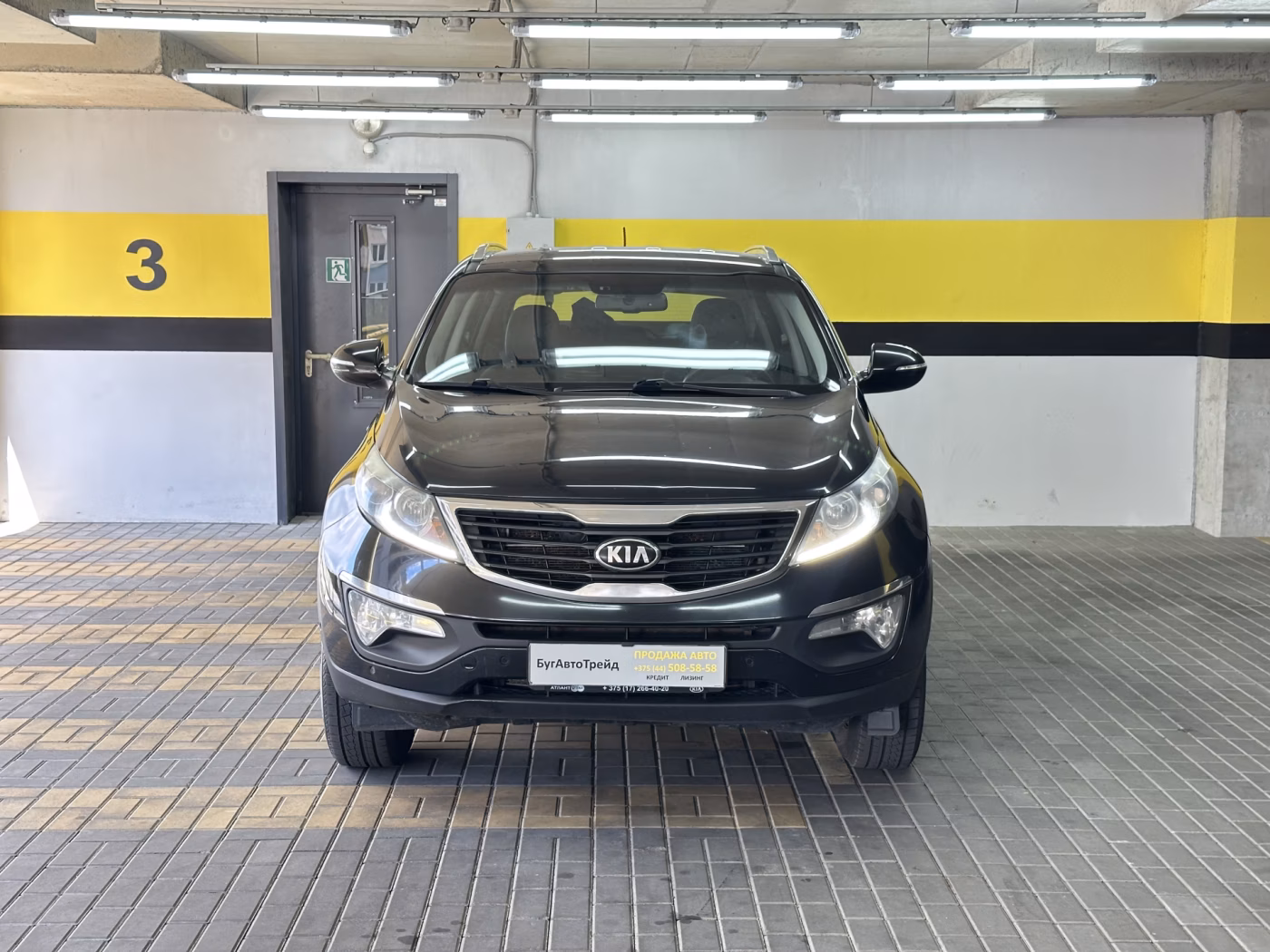 Kia Sportage фото 2