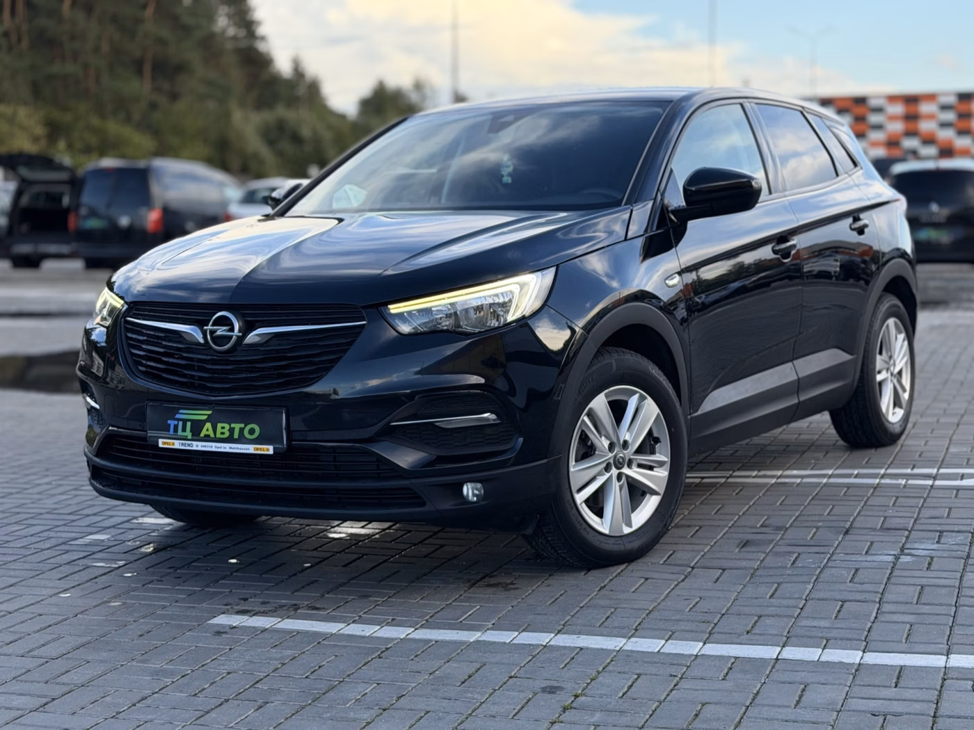Opel Grandland X фото 5