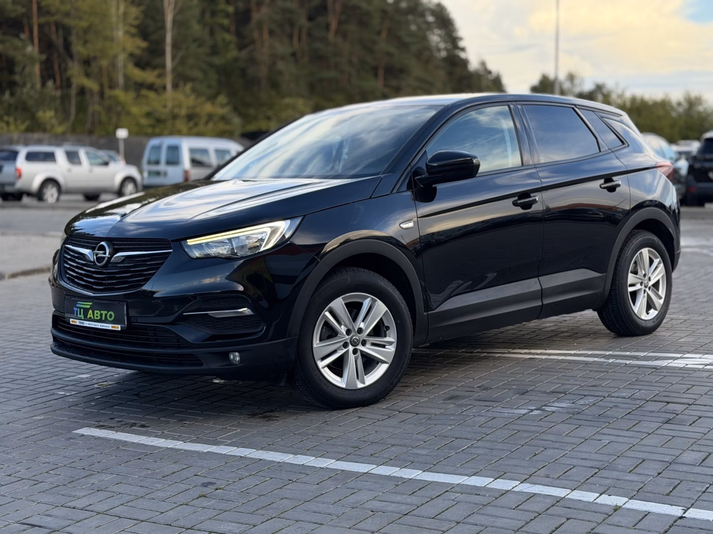 Opel Grandland X фото 7