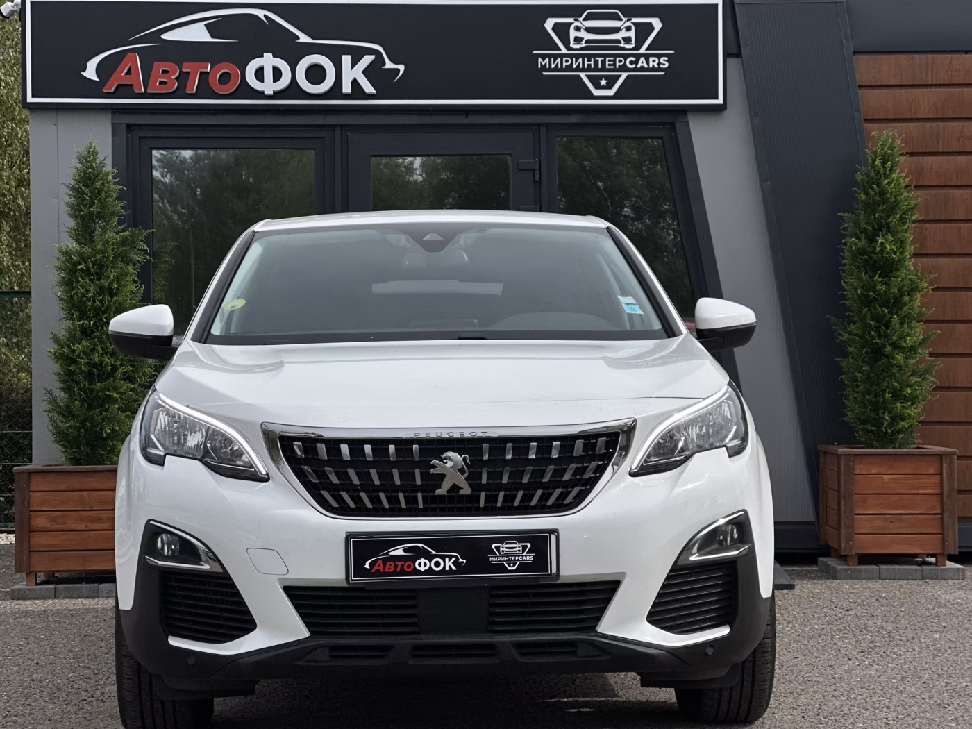 Peugeot 3008 фото 8
