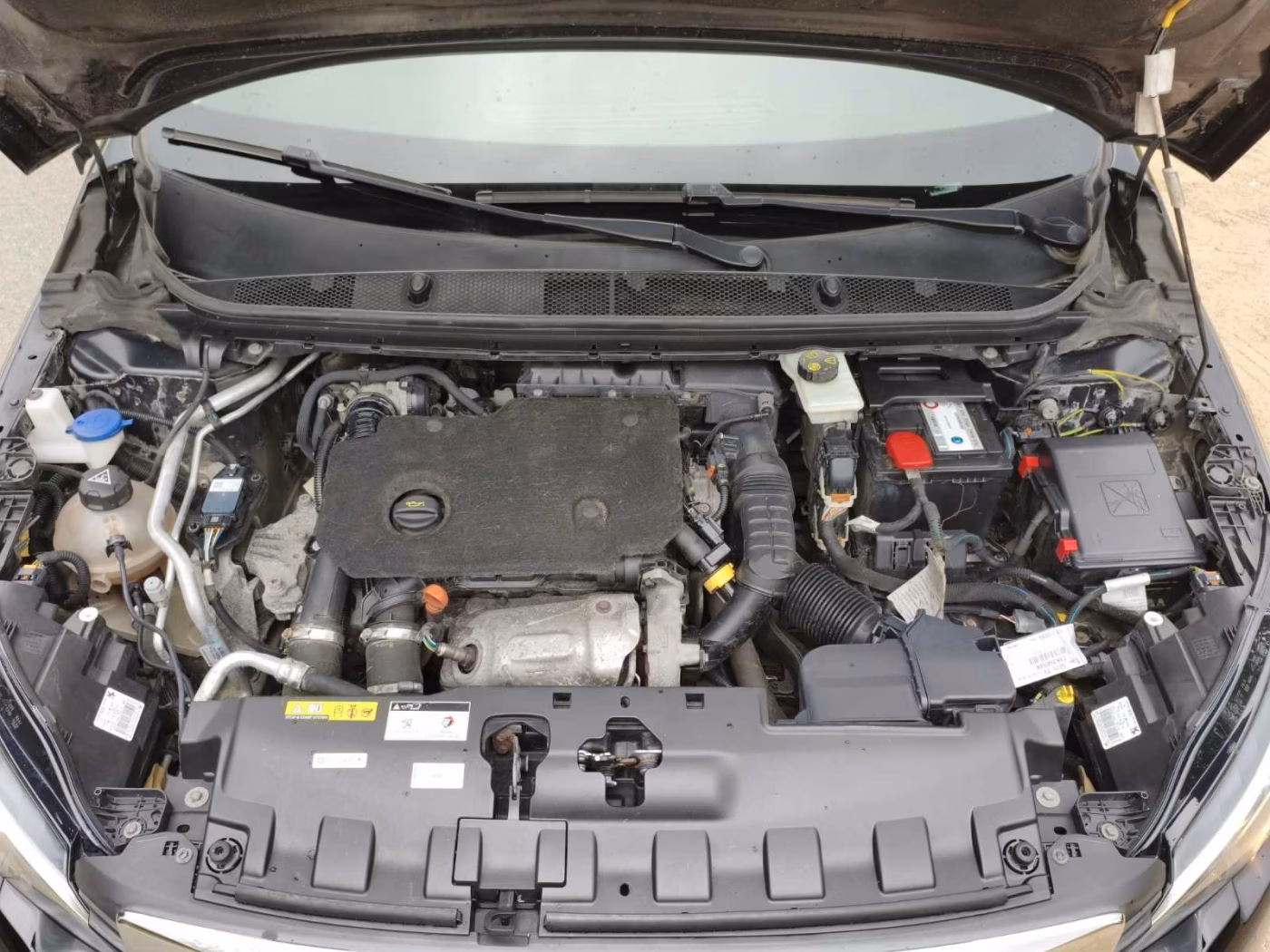 Peugeot 308 фото 19