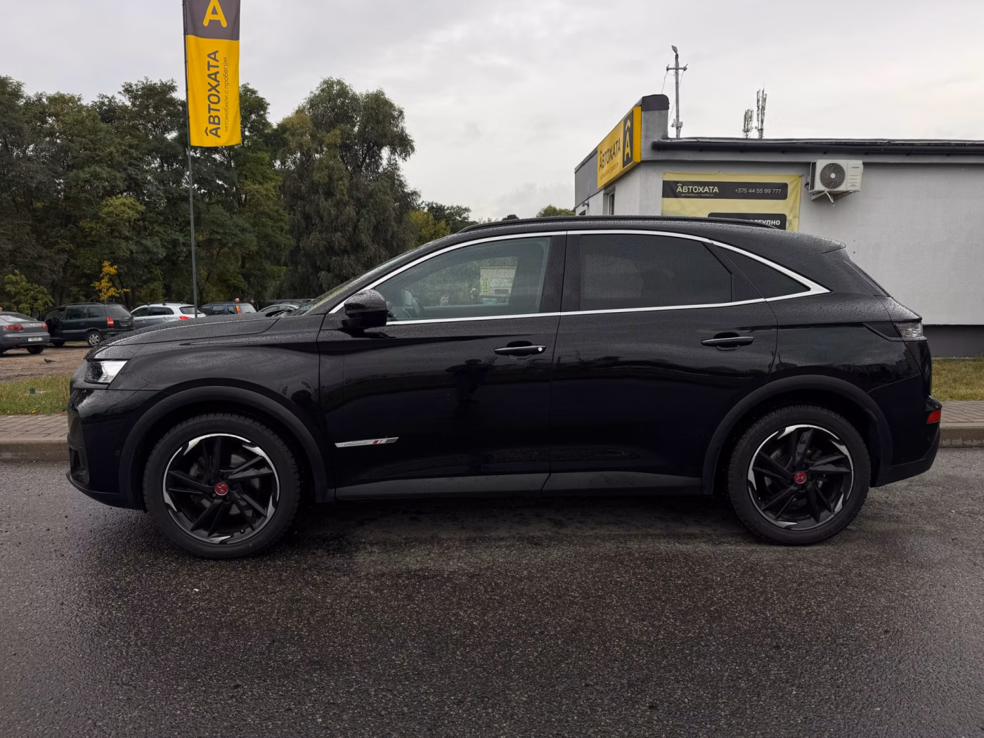 DS 7 Crossback фото 8