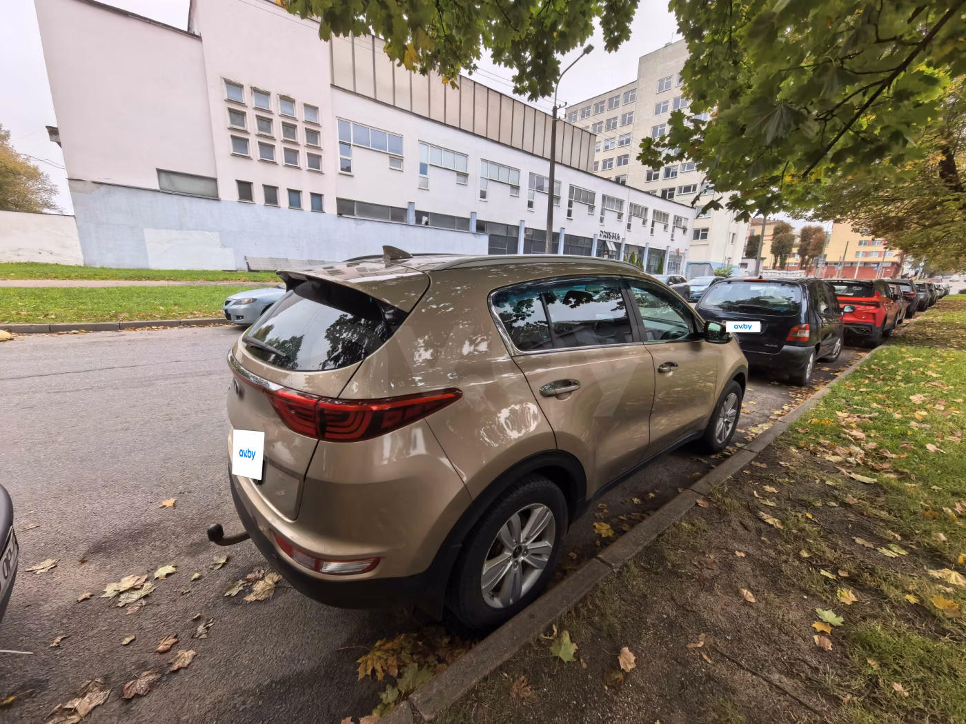 Kia Sportage фото 6