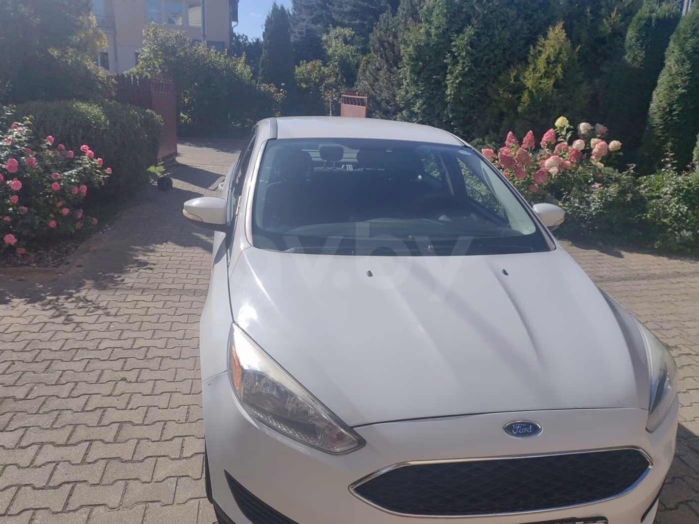 Ford Focus фото 2