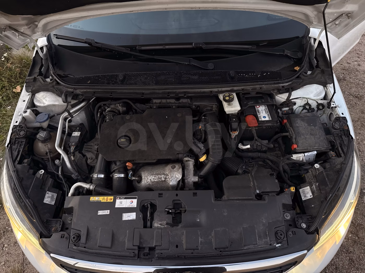 Peugeot 308 фото 20
