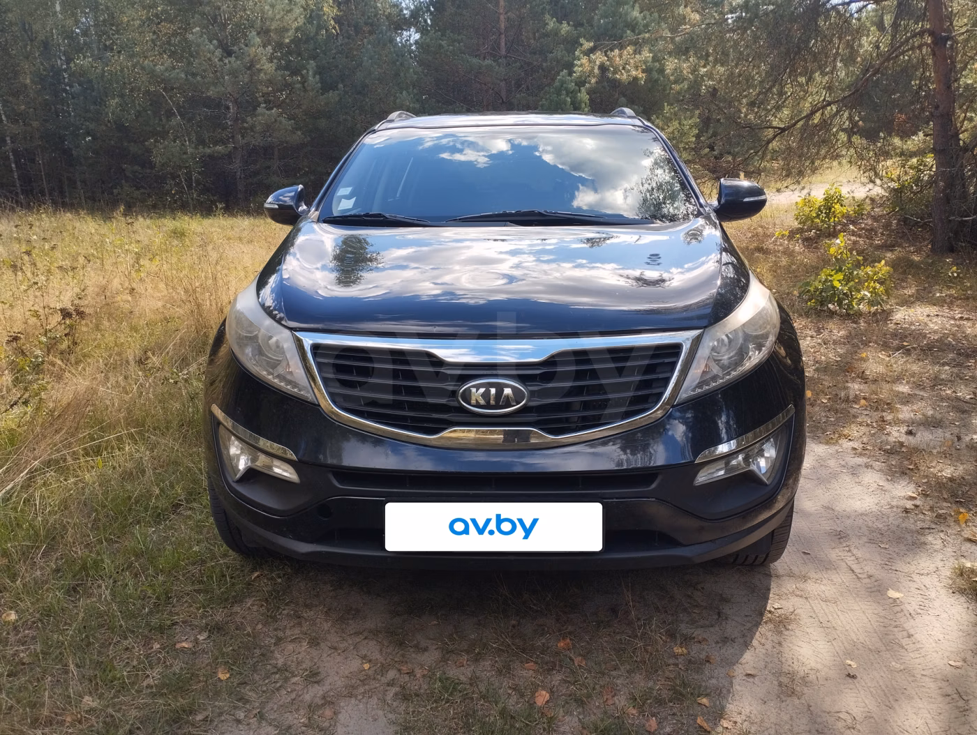 Kia Sportage фото 2