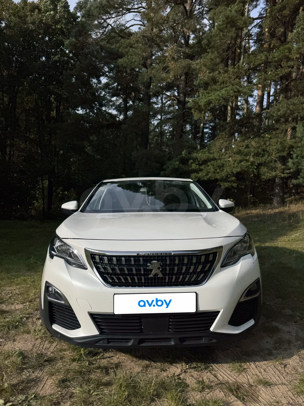Peugeot 3008 фото 3