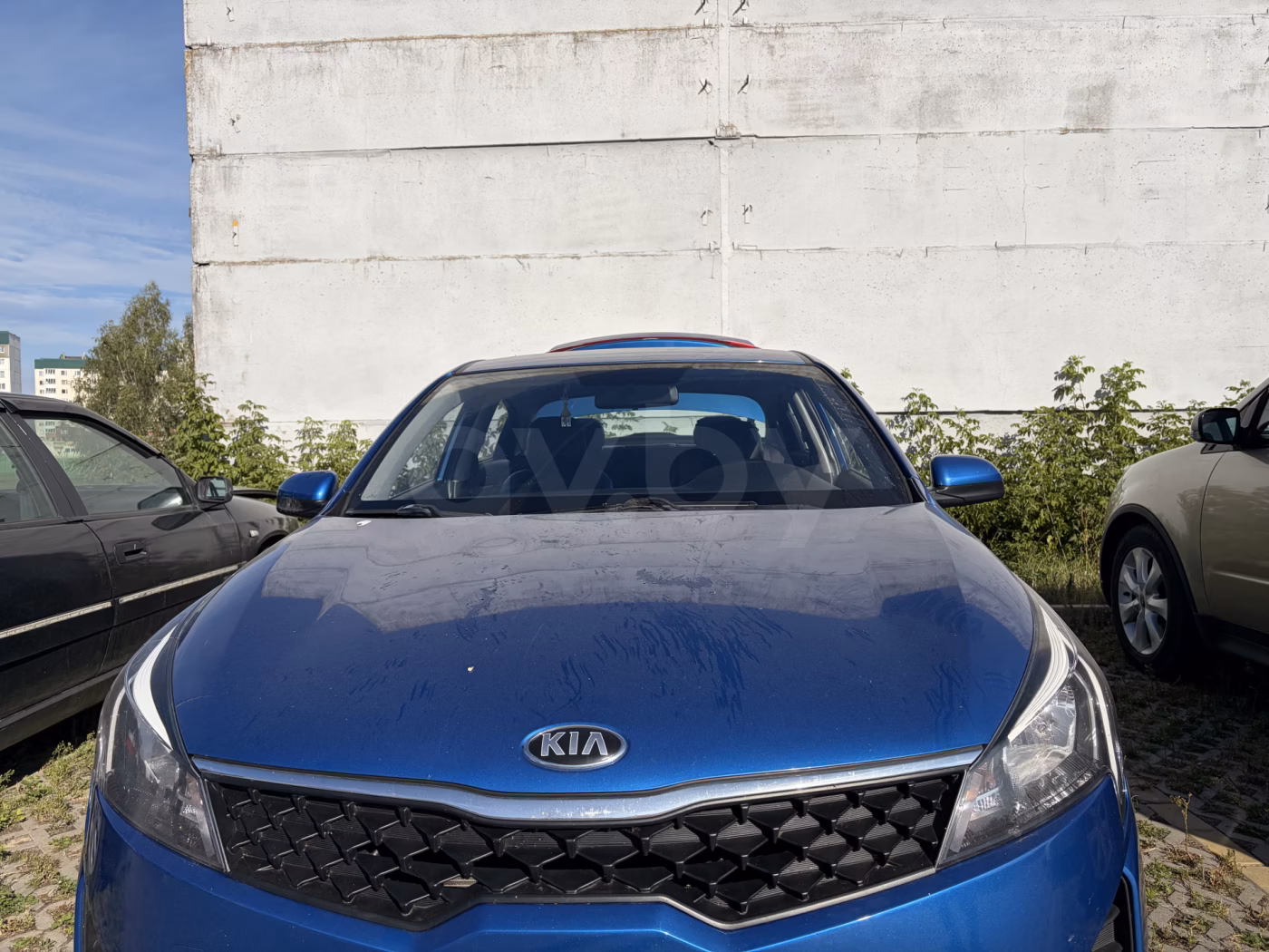 Kia Rio фото 2