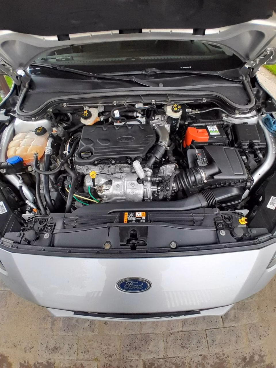 Ford Focus Active фото 10